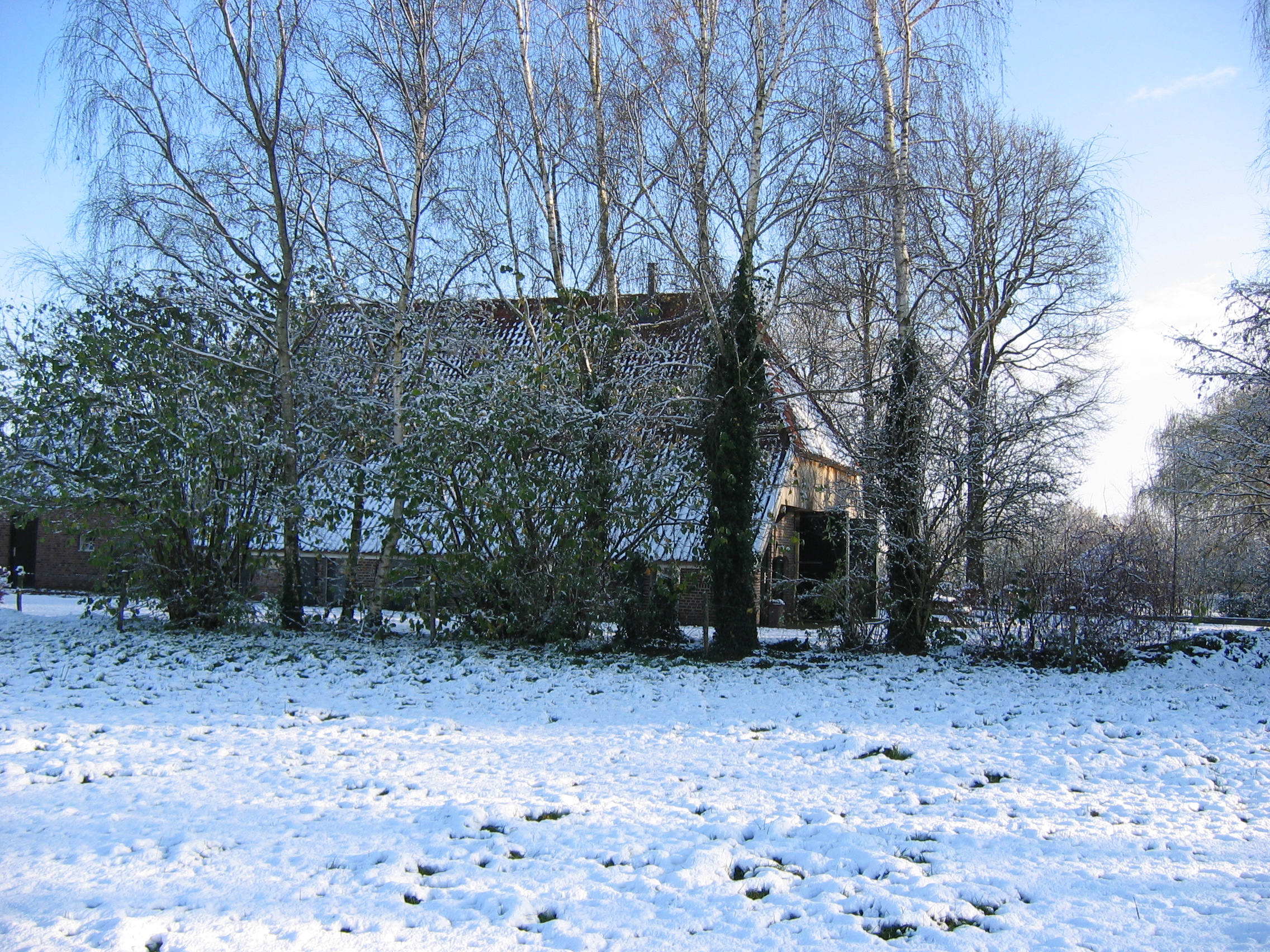 sneeuw-2008-026