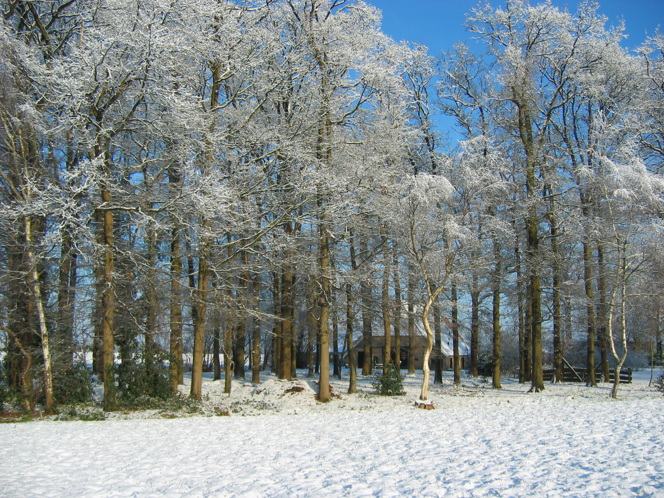 sneeuw2009-004
